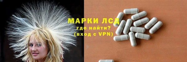спайс Арсеньев