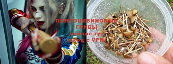 спайс Арсеньев