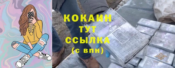 спайс Арсеньев