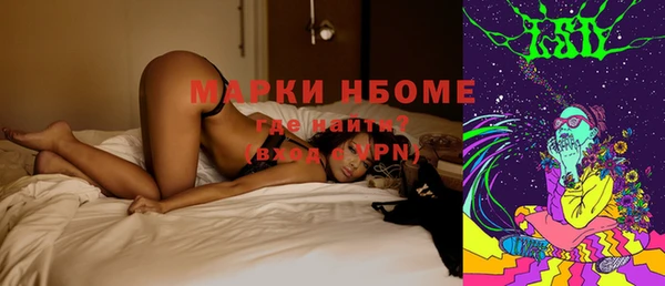стафф Аркадак